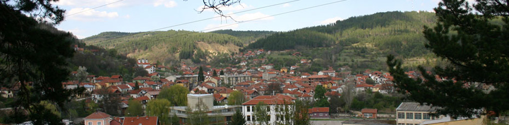 КИЦ Босилеград