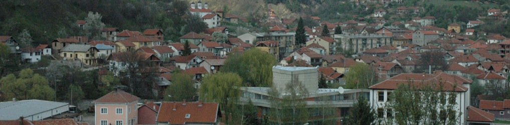 КИЦ Босилеград
