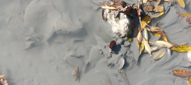 Кой „мъти“ водите на Сръбско Българското приятелство във висшите етажи на властта?