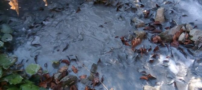 За ключът на Босилеград, зелниците, водката и мъртвата река